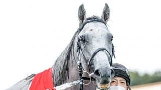 【菊花賞・馬体重】ガイアフォースは494kg(-4)、アスクビクターモアは476kg(0)