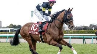 【菊花賞】アスクビクターモアが横綱相撲で押し切りV！ディープ産駒はクラシック歴代最多24勝目