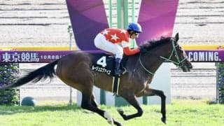 【山中湖特別】断然人気 ルージュエヴァイユが完勝