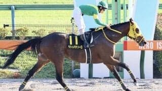 【ブラジルC】ウシュバテソーロが人気に応える