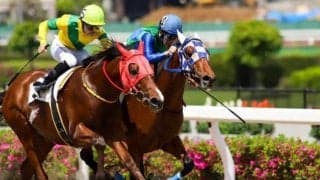 南関東の無敗馬3頭vs道営の素質馬2頭/船橋・平和賞枠順