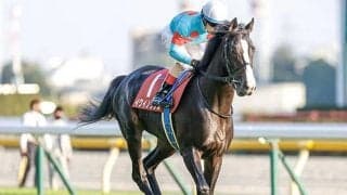 天皇賞・秋で飛躍期す3歳馬と強豪古馬が激突、マイルCS前哨戦のスワンSなど/今週の競馬界の見どころ