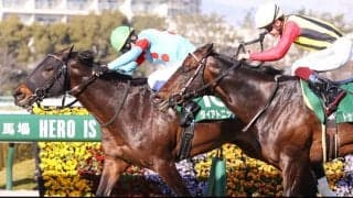 【スワンS登録馬】ダイアトニックなど21頭