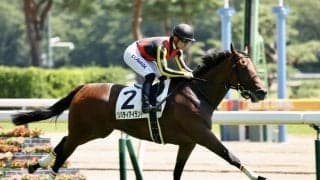 【アルテミスS登録馬】リバティアイランドなど11頭