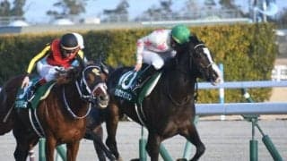 【スワンS見どころ】マテンロウオリオンが距離短縮で巻き返しを狙う