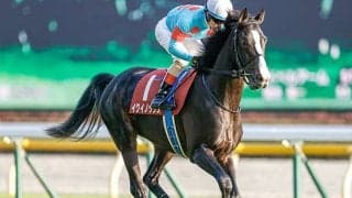 【天皇賞・秋見どころ】ダービー2着馬イクイノックスによる古馬撃破なるか