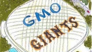 プロ野球12球団の変遷が映し出す日本経済。起業家が育たないのはなぜか