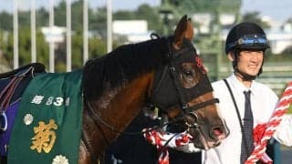 【菊花賞】売上は183億8223万2400円で昨年から約8億円の増加