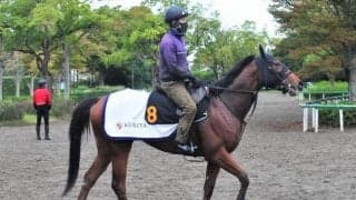 世界的良血のアイリッシュパールがデビュー 近親には海外G1勝ち馬が多数/関東馬メイクデビュー情報