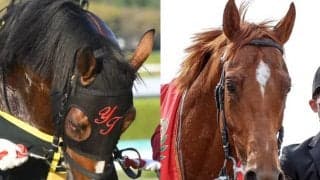 新たな『伝説の新馬戦』か 昨年6月26日デビュー組から新たなGI馬が誕生