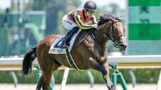 【アルテミスS想定騎手】リバティアイランドは川田将雅騎手、ラヴェルは坂井瑠星騎手