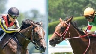 凱旋門賞馬の孫やオーストラリアの女傑の仔など アルテミスSの注目良血馬を紹介