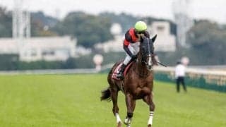 まだ伸びしろを感じるダイワメジャー産駒 追い比べを制し1年ぶりの重賞制覇