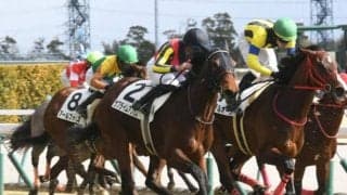 【スワンS展望】マイルCSに向けた一戦、距離短縮組が優勢