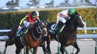 【スワンS想定騎手】マテンロウオリオンは横山典弘騎手、ホウオウアマゾンはC.デムーロ騎手