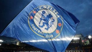 「これは可愛い」「世界一だ」チェルシーにとっては幸運？それとも不運？ CL前夜のスタジアムに迷い猫