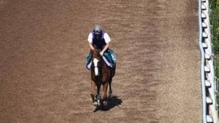 ホワットアスポットの2020など、先週のゲート試験/栗東トレセンニュース