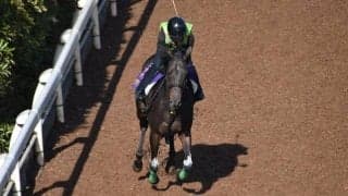 デアリングタクトなど、先週の入厩情報/栗東トレセンニュース