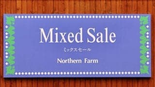 ノーザンファームミックスセール2022が開幕！ドウデュースの半弟など良血馬がラインナップ