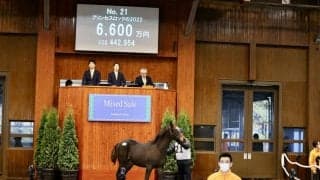 ブトンドール半弟が6600万円で落札