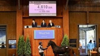 ゴールドドリーム産駒が4100万円で落札