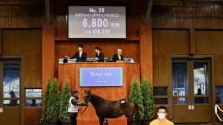 母は米G1・5勝 ステファニーズキトゥンの2022が6800万円で落札