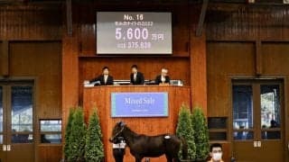 ブラックスピネルの半妹が5600万円で落札