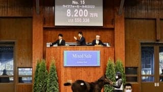 ダノンファンタジー半弟が8200万円で落札