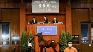 ダービー馬・ドウデュースの半弟が8600万円で落札