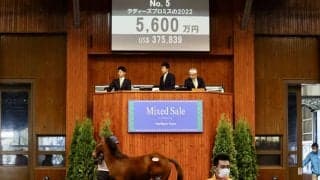 マイラプソディ半妹が5600万円で落札
