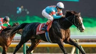 18番枠から皐月賞日本ダービー2着の実績馬 天皇賞・秋を勝てばシンボリクリスエス以来の快挙に