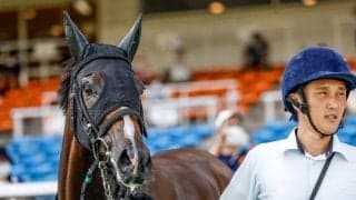 【アルテミスS展望】2歳牝馬の出世レース、差し追い込みが決まりやすい