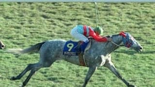 ウマ娘でも闘争心全開で走り抜けるタマモクロス。天皇賞・秋は語り継がれるべき「芦毛の名勝負」だった