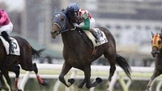 ビッグレースへの登竜門 無敗の重賞馬誕生なるか/船橋・平和賞注目馬