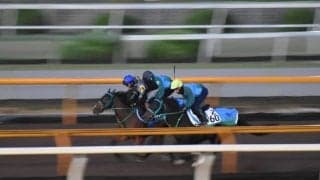 ブトンドール、ファンタジーS1週前追い切り速報/栗東トレセンニュース