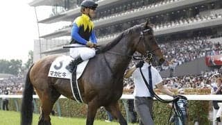 総賞金6億円超え！ダービー馬マカヒキの長きにわたる活躍をプレイバック