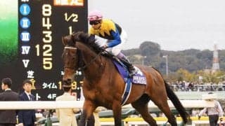 マカヒキが競走馬登録抹消