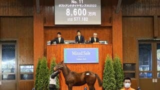 ミックスセール2022レポート 億超えは生まれずとも来年以降の盛況を予感させた初開催