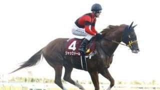 【天皇賞・秋予想】AIと人間の意見が真っ二つ！ 果たしてどちらに軍配が上がる？