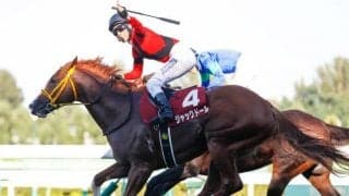 ジャックドールが香港カップの招待受諾 藤岡師「天皇賞の結果にかかわらず向かう」