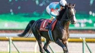 【天皇賞・秋枠順確定】イクイノックスは4枠7番、ジャックドールは5枠9番