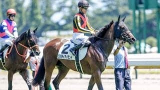 【アルテミスS出走馬・騎手確定】リバティアイランド＆川田将雅騎手、ラヴェル＆坂井瑠星騎手など10頭