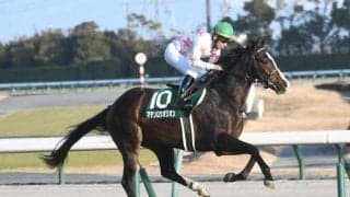 【スワンS出走馬・騎手確定】マテンロウオリオン＆横山典弘騎手、ホウオウアマゾン＆C.デムーロ騎手など18頭