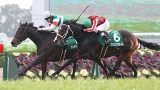サンクテュエールが競走馬登録抹消