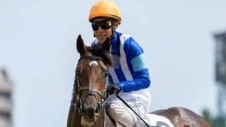 【門別・JBC2歳優駿出走予定馬】地元ベルピット、JRAナチュラルリバーら