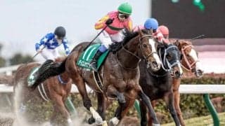 【盛岡・JBCスプリント出走予定馬】レッドルゼル、テイエムサウスダンら