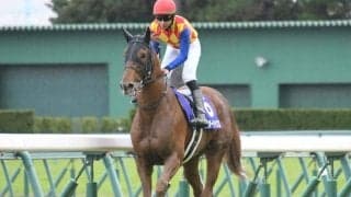 【盛岡・JBCクラシック出走予定馬】テーオーケインズ、メイショウハリオら