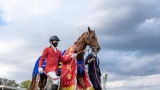 【天皇賞・秋 調教後馬体重】ジオグリフは前走から+24kg パンサラッサやダノンベルーガも2ケタ増加