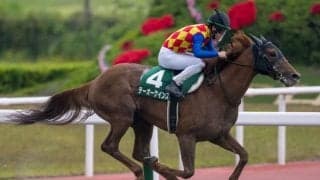 【JBCクラシック】JRA出走予定馬