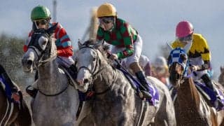 【JBCレディスクラシック】JRA出走予定馬